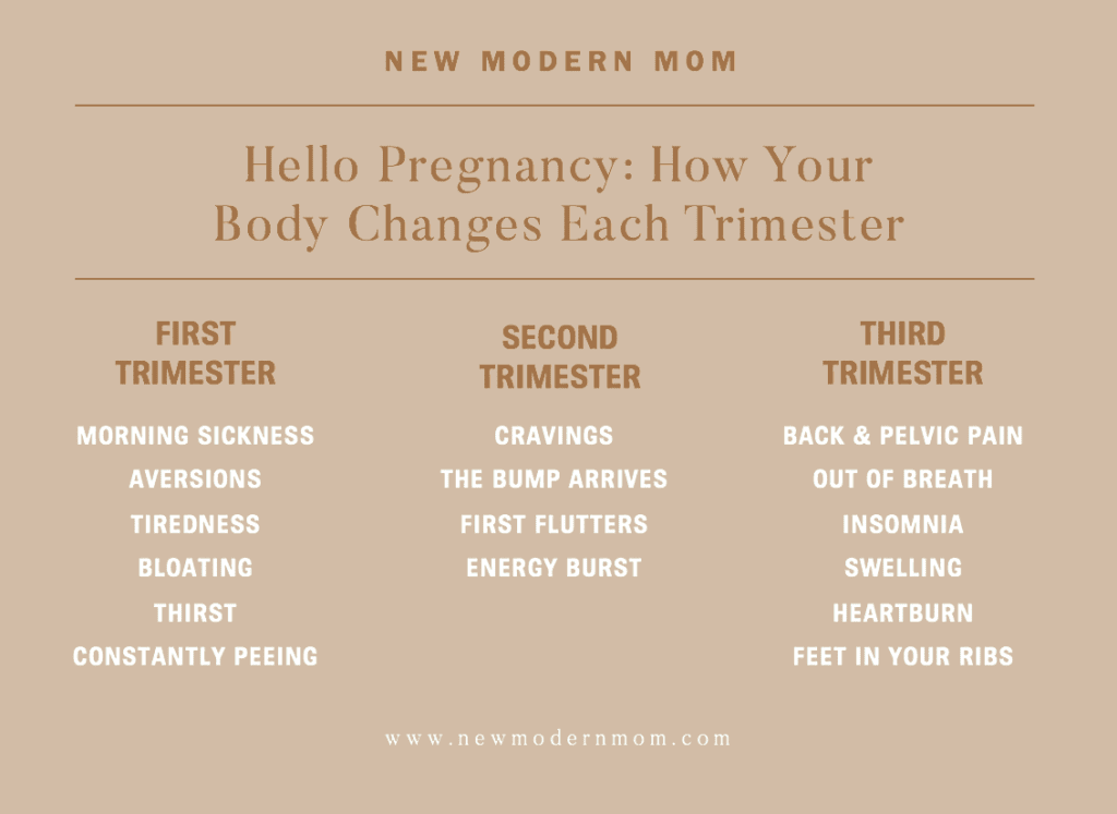 Hello Pregnancy: How your body changes each trimester Hello Pregnancy: How your body changes each trimester