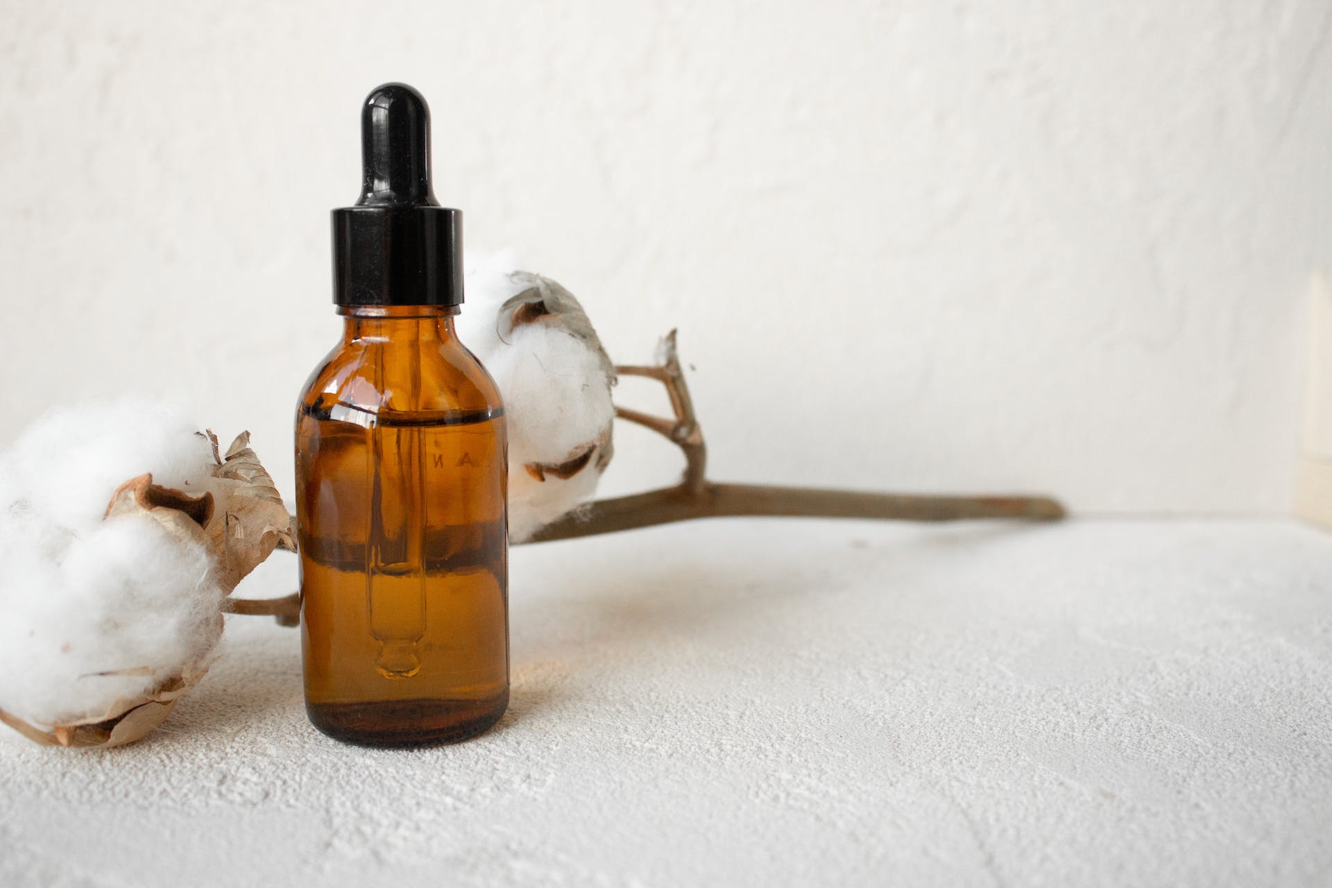 An amber essential oil dropper sits in front of a twig of cotton